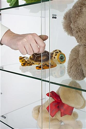 24" Glass Display Case W/Frameless Design, Hinged Door, Ships Assembled - Black - Image 2